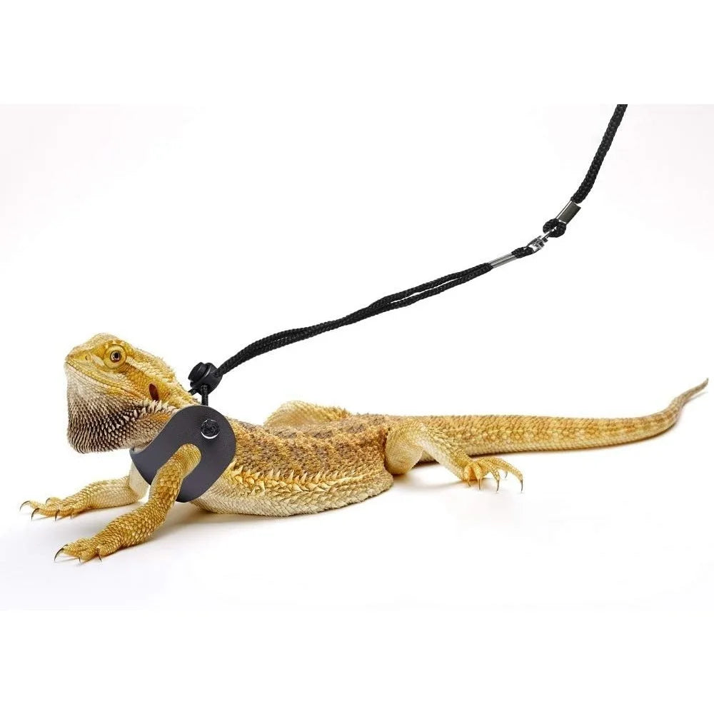 Bearded Dragon Harness and Leash Adjustable (S,M,L, 3 Pack)