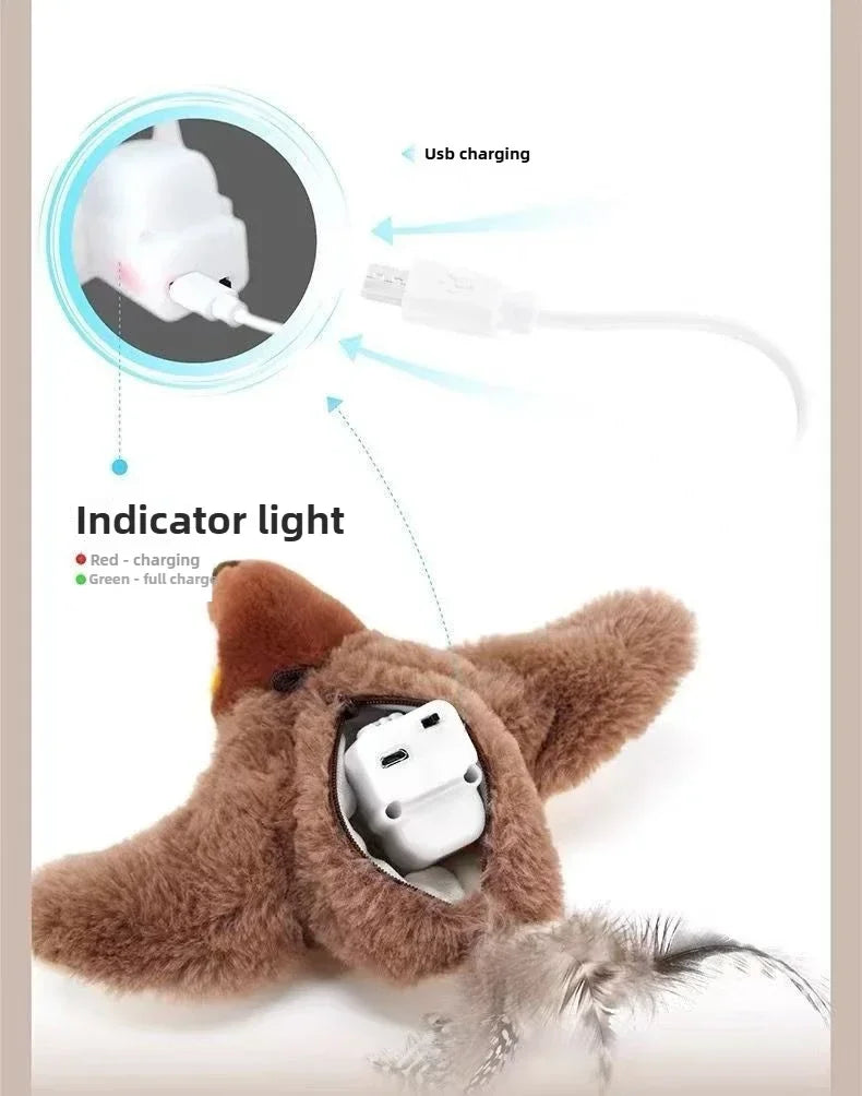 Interactive Cat Toys