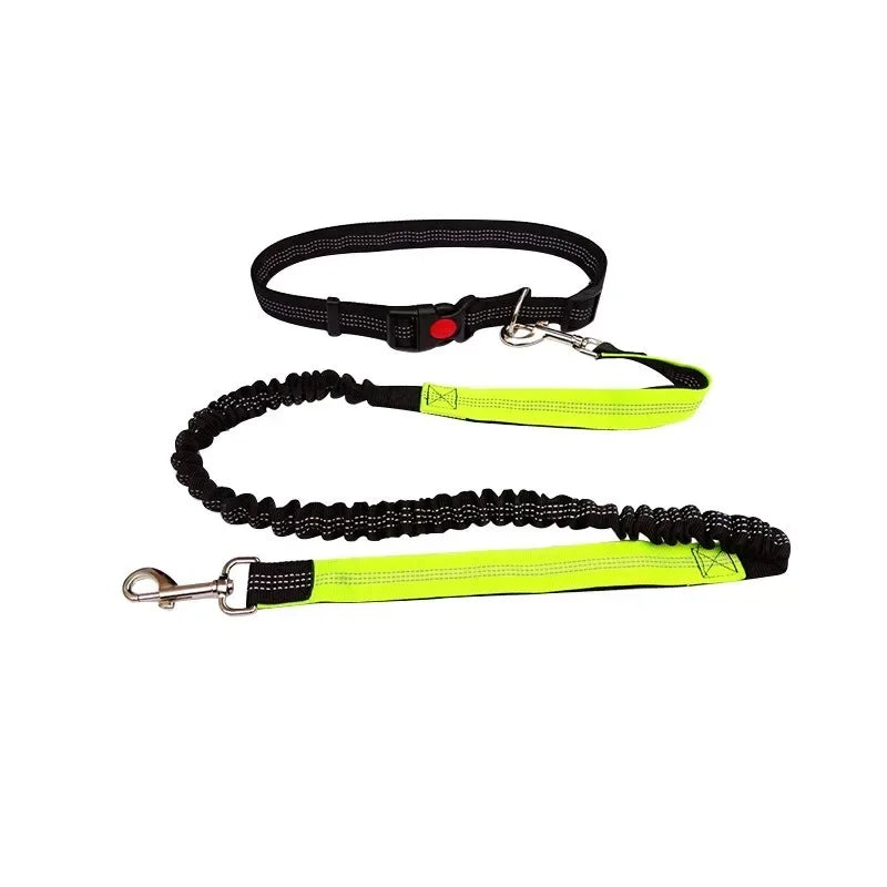 Hand Free Dog Leash for Pet Walking