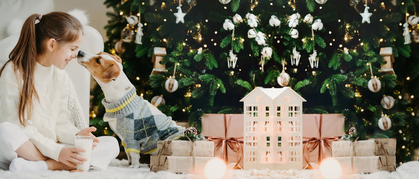 NPET WF100 Cat Water Fountain