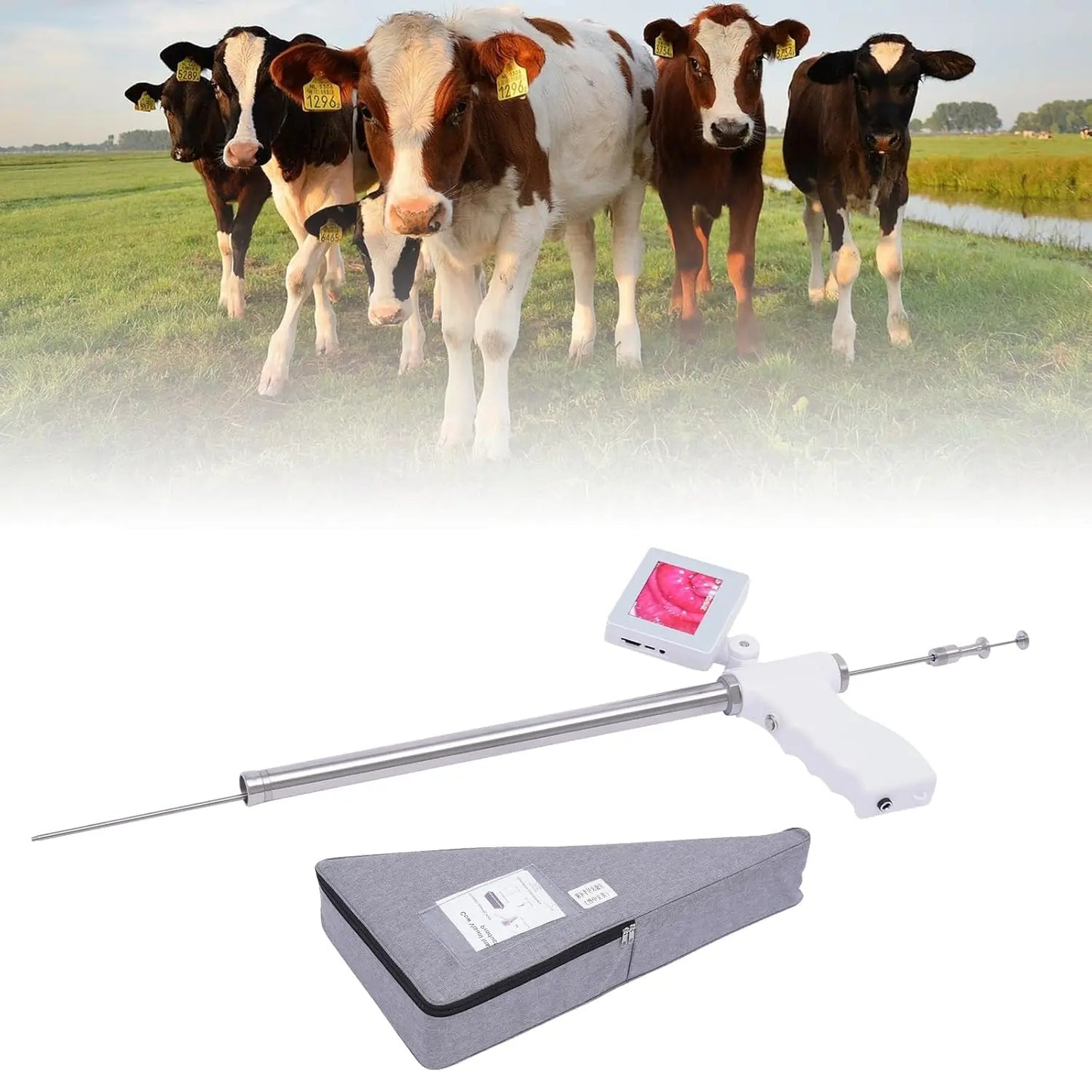 Visual Insemination Gun for Cows, Camels & Horses