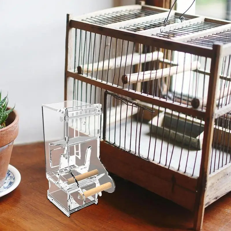 Parrot automatic feede