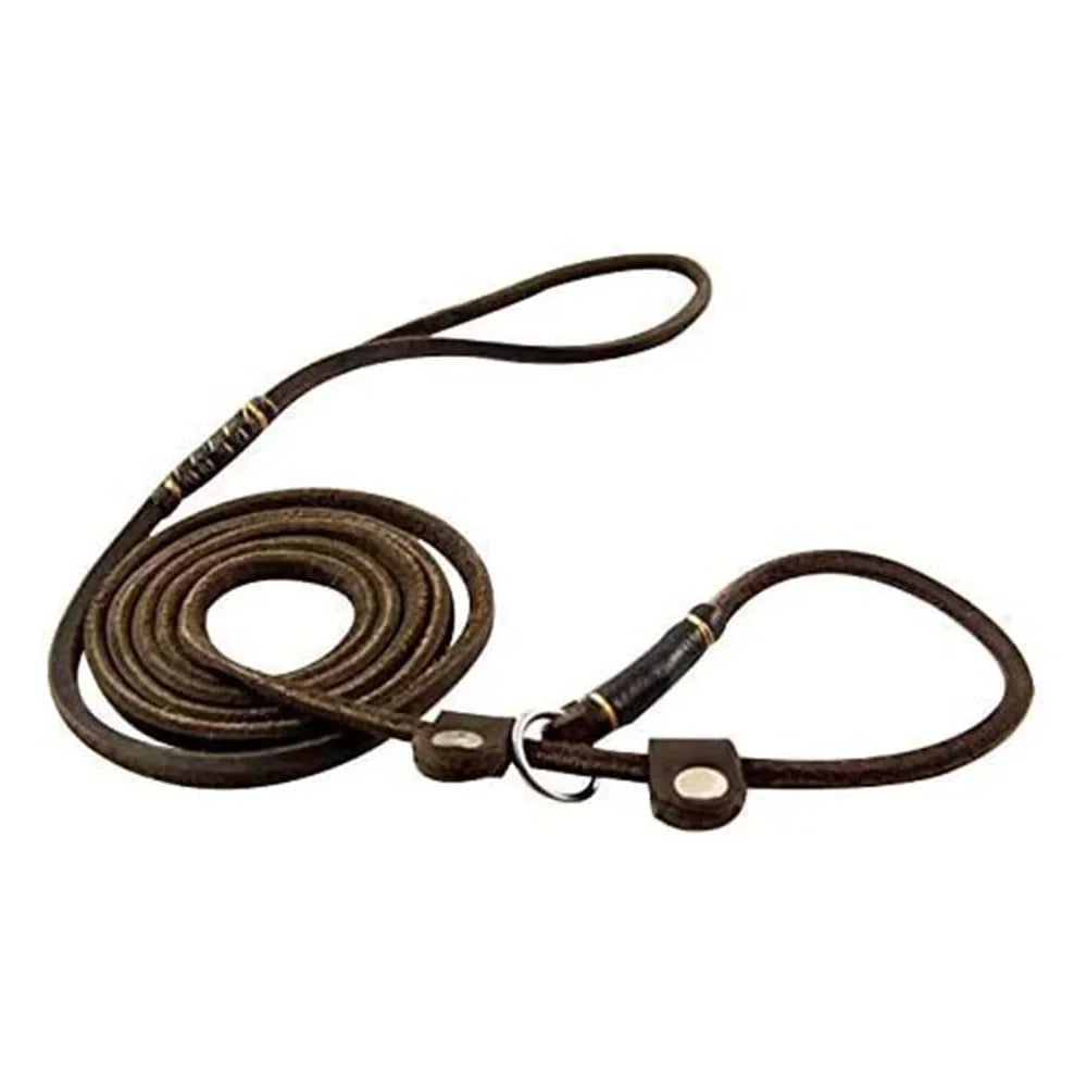 Genuine Leather Slip Dog Leash