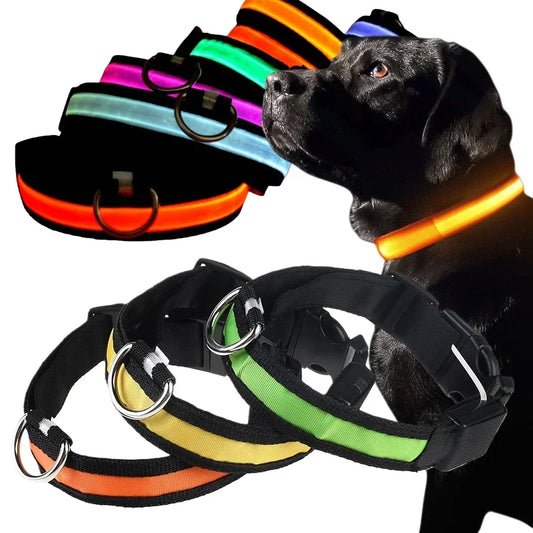 Glowing Dog Collar