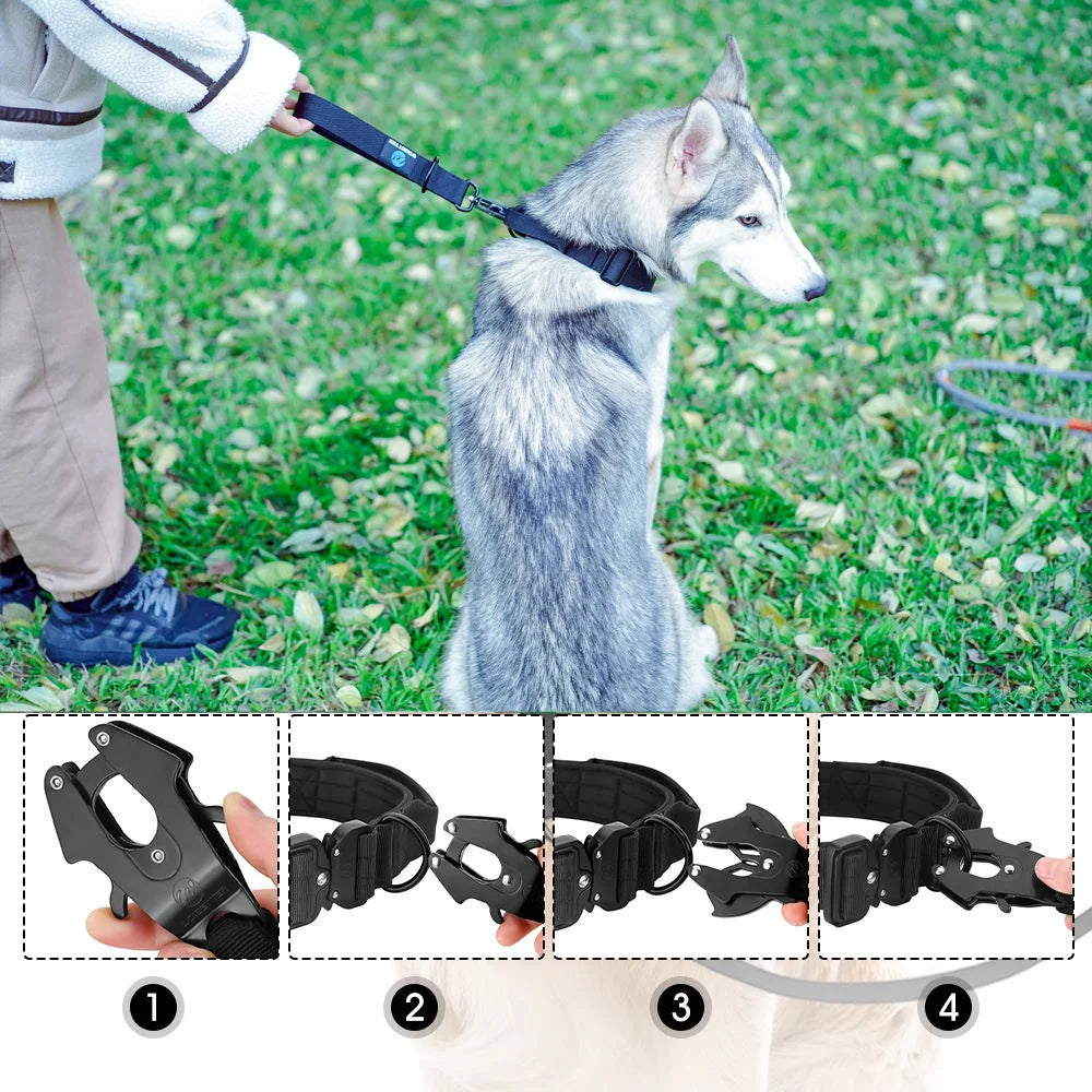 Short Dog Leash