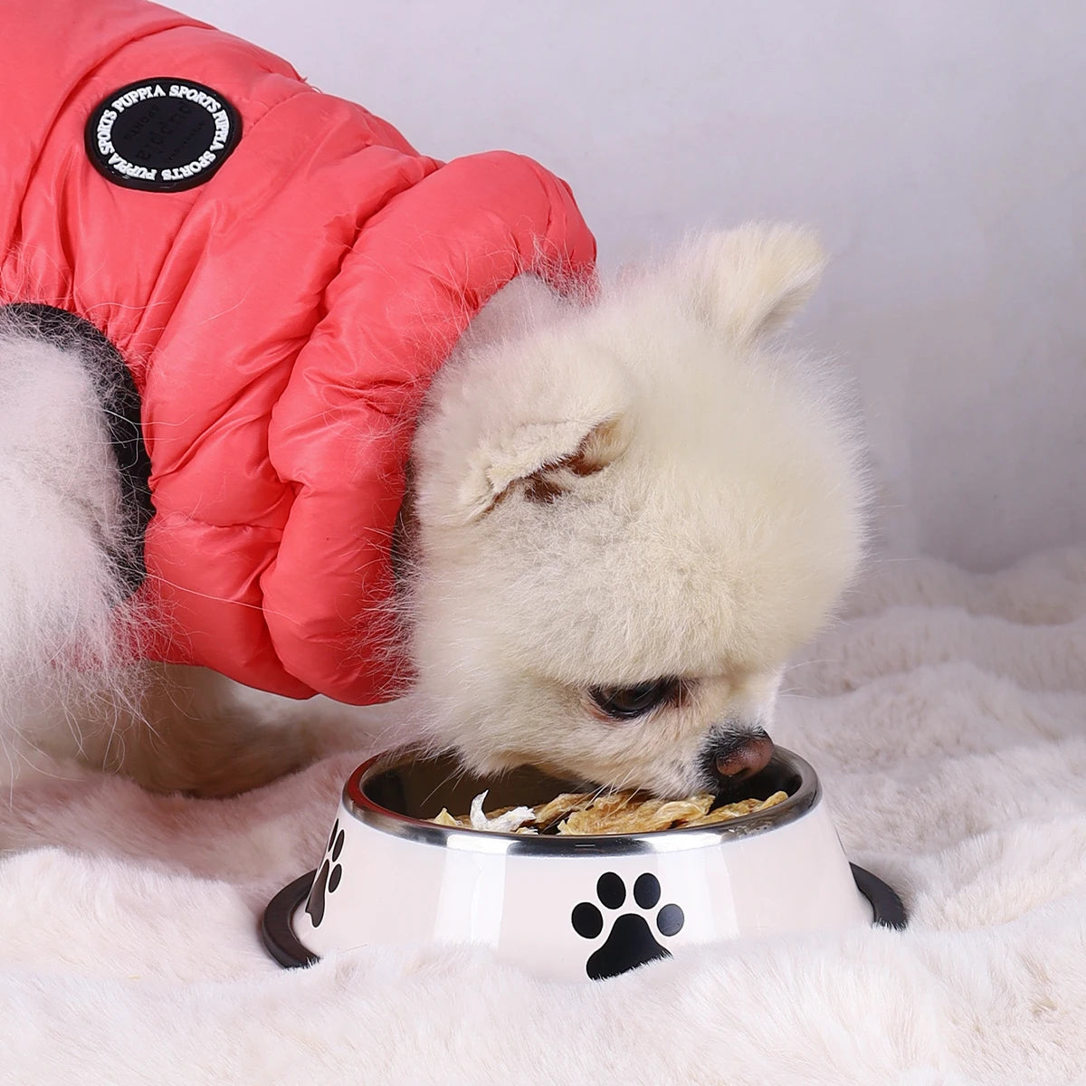 1PC Stainless Steel Pet Bowl