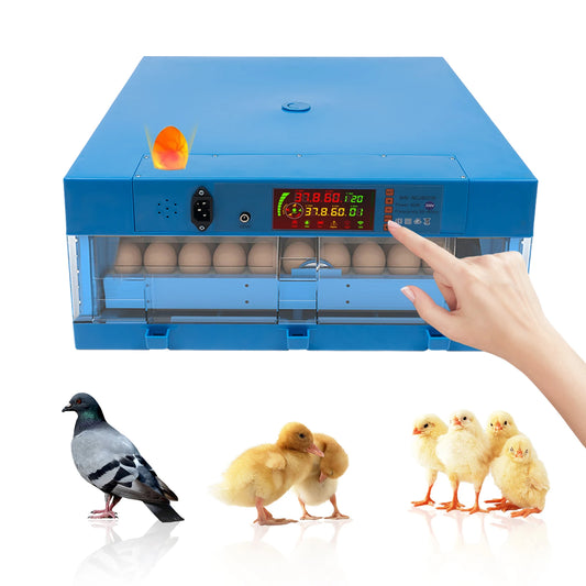 80W Thermostatic Egg Incubator