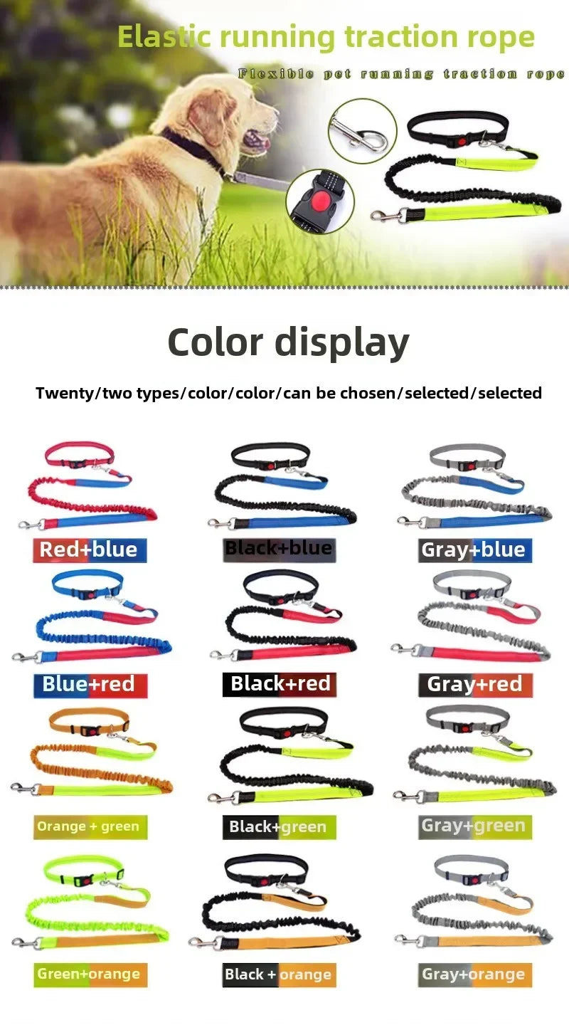 Hand Free Dog Leash for Pet Walking