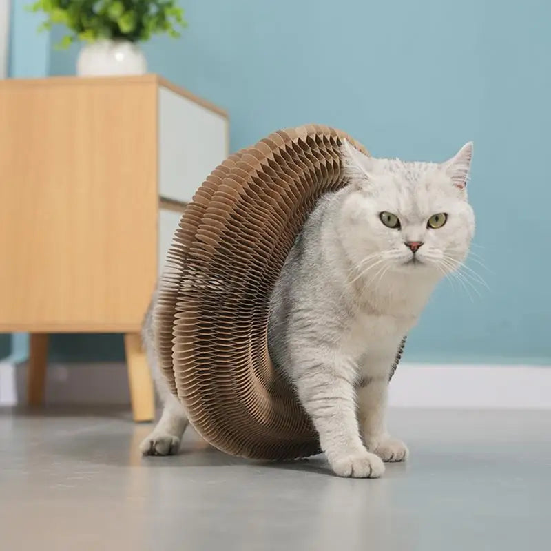 Foldable Cat Scratch Board