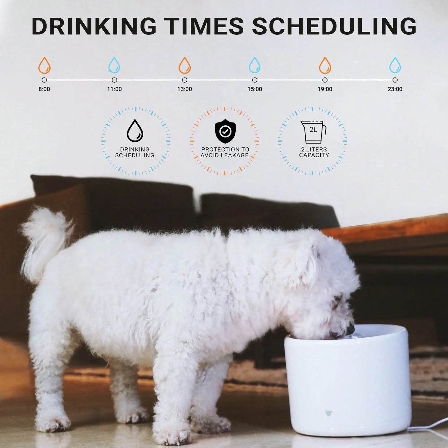 Smart Cat and Dog Drinking Fountain