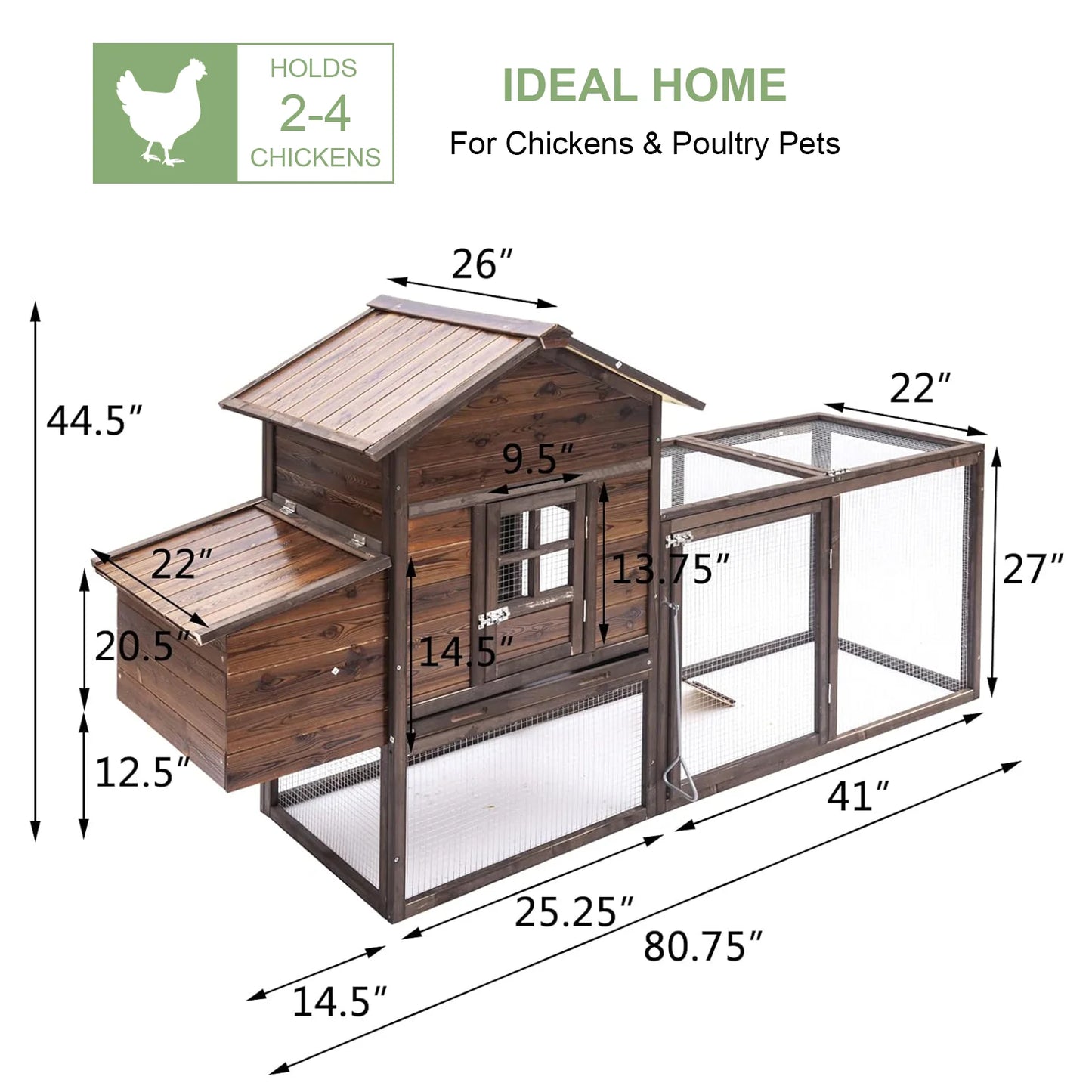 Chicken Coop for 5 Chickens