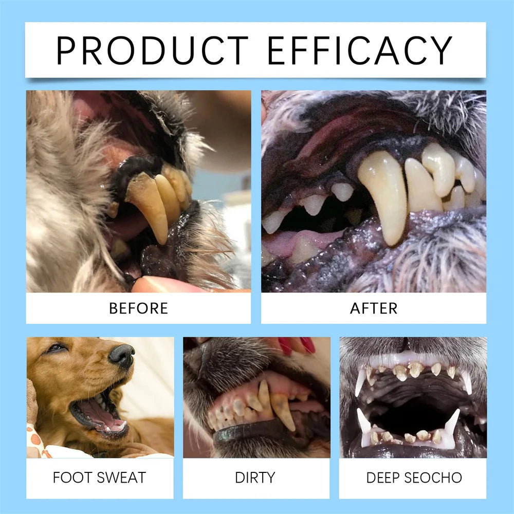 Pets Dogs Teeth Cleaning Tools