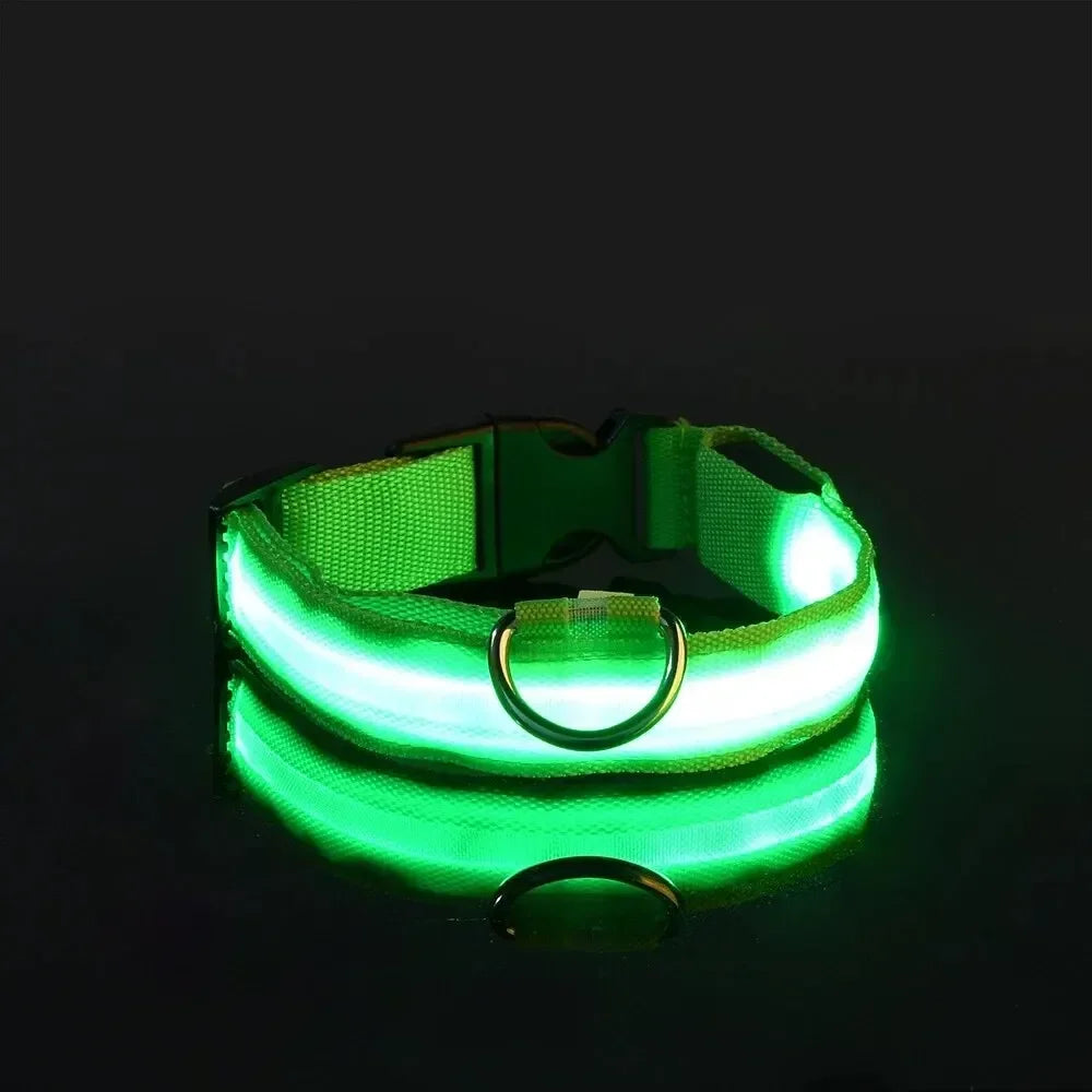 Light Up LED Pet Dog Collar