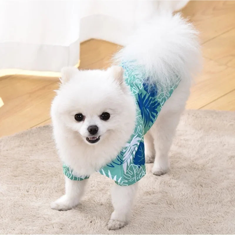 Summer Dog Clothes