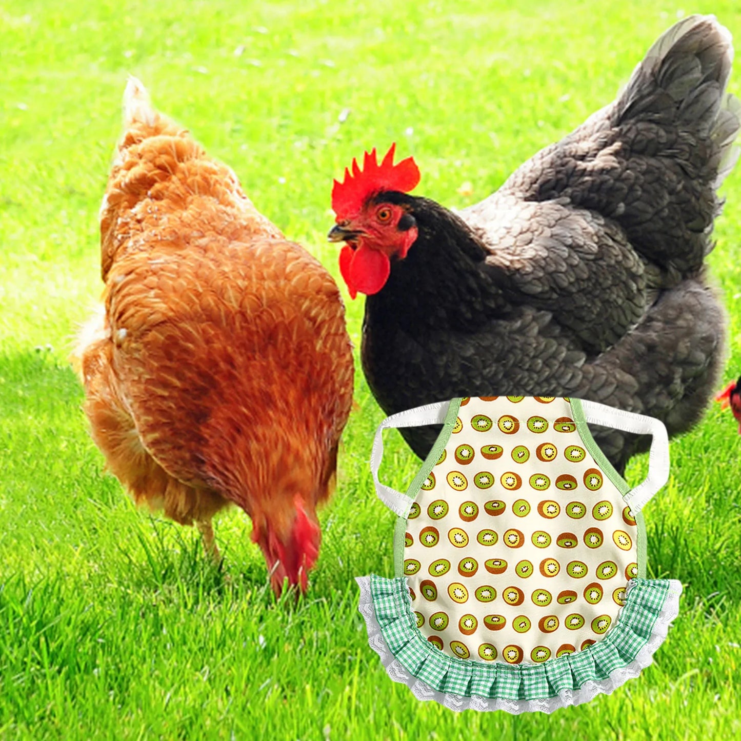 1pcs Farm Hen Feather Retainer Chicken Saddle Strap Apron