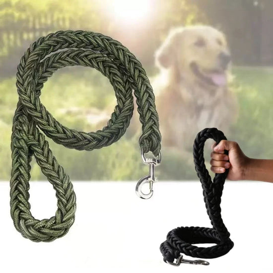 Large Dog Leash