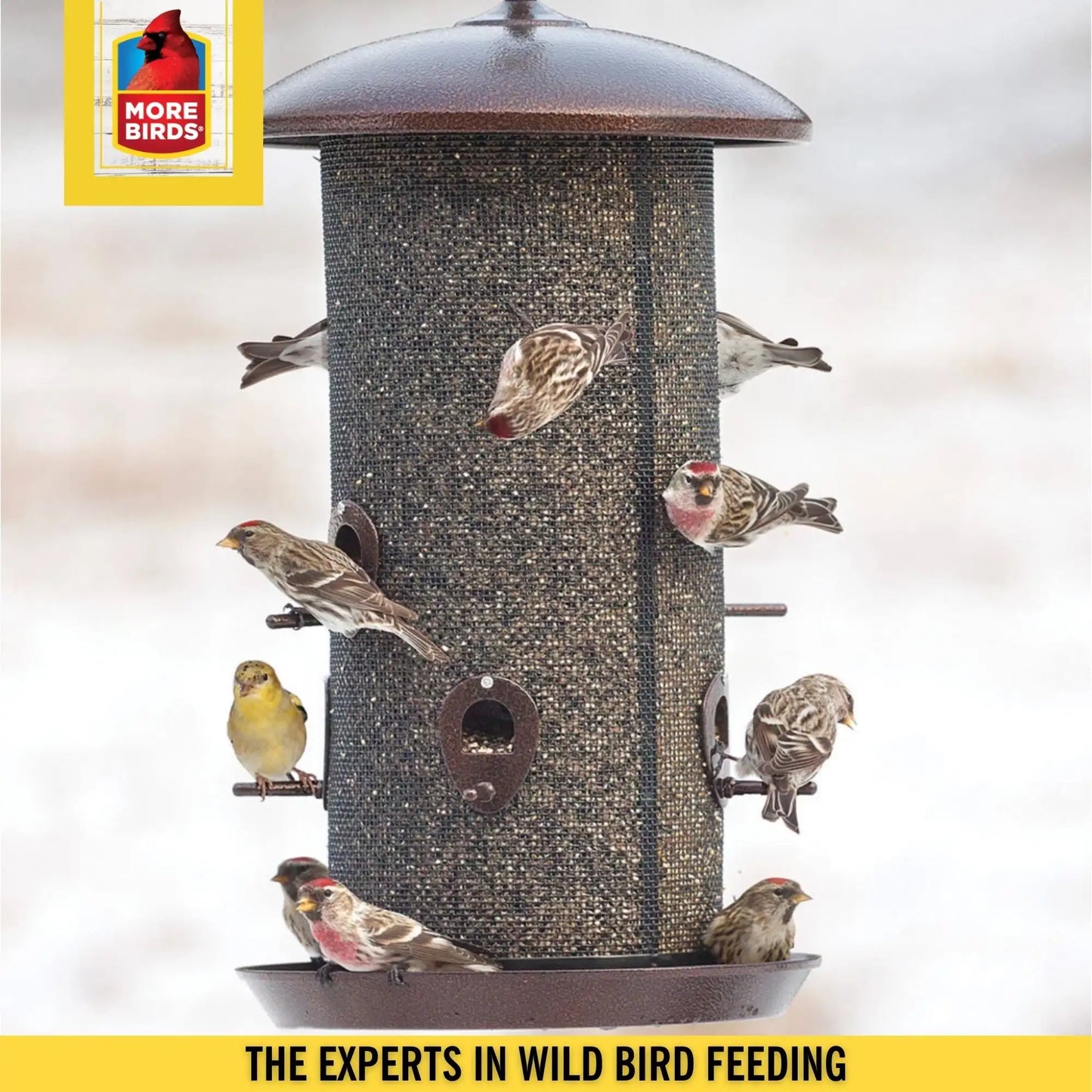 Screen Bird Feeder