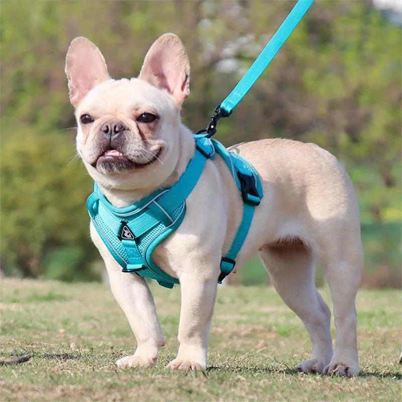 No Pull Dog Harness and Leash Set