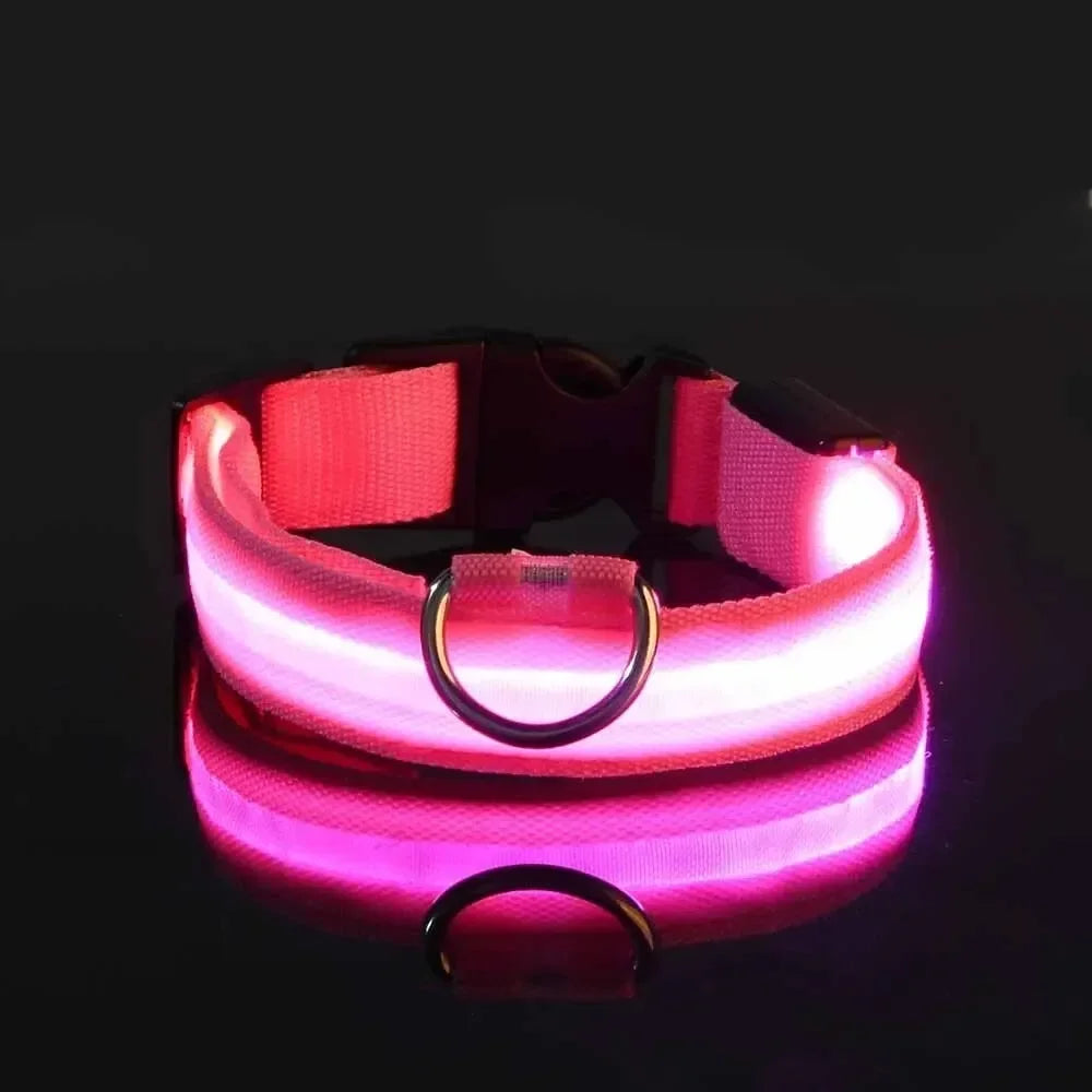 Light Up LED Pet Dog Collar
