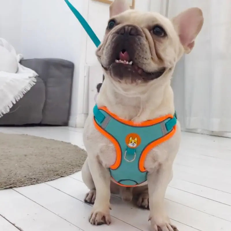 Chest Strap Vest Leash
