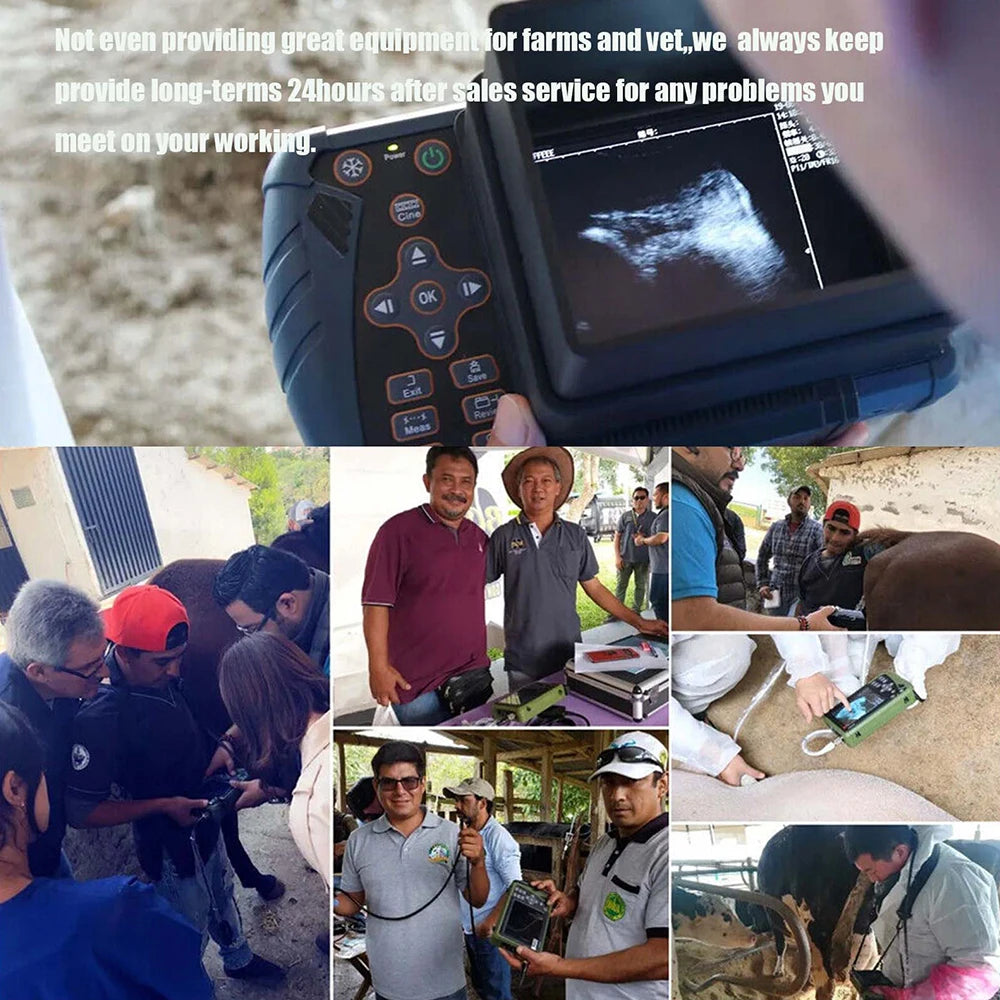 Portable Veterinary Ultrasound Scanner for Pregnancy