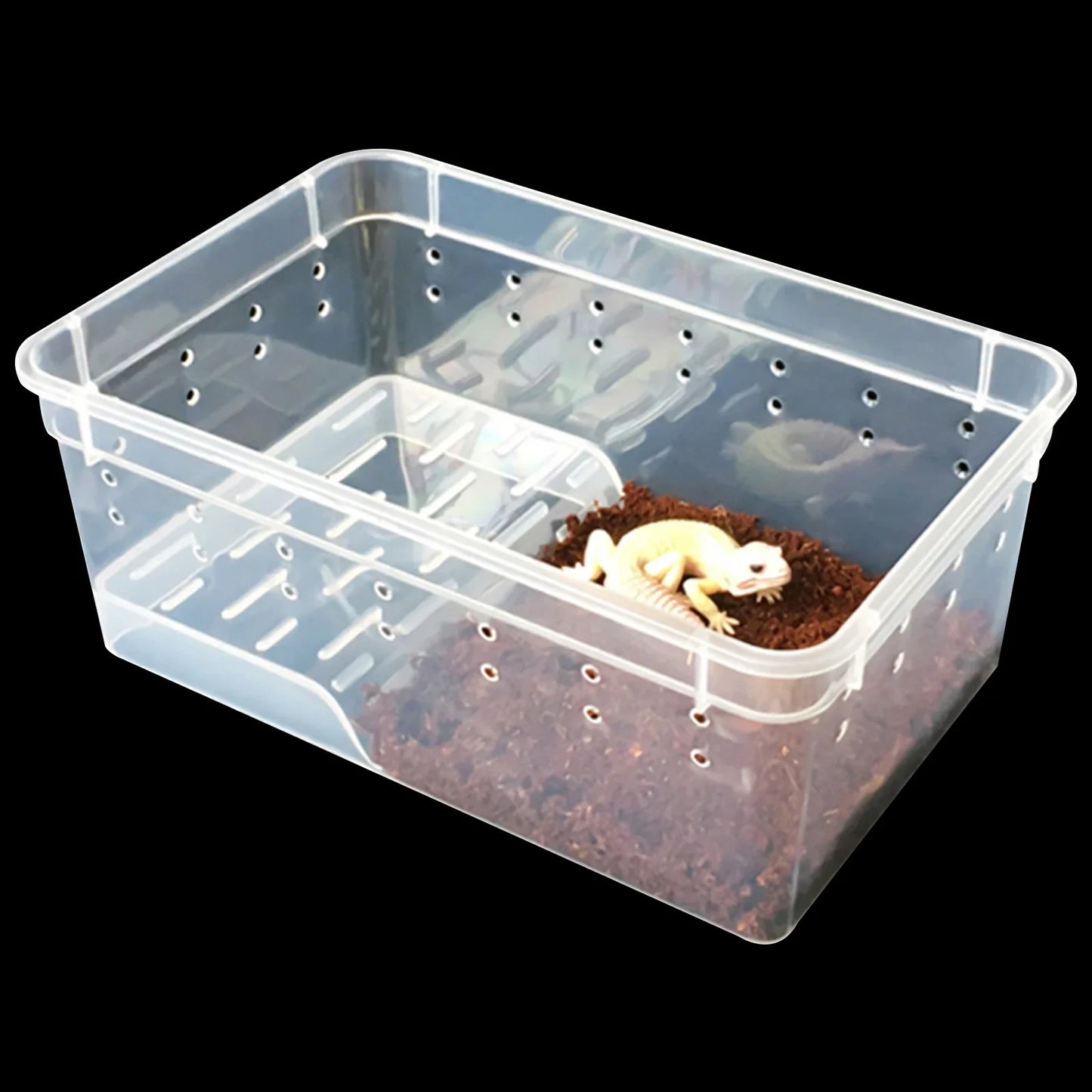 Reptile Breeding Cabinet with 8 Clear Boxes