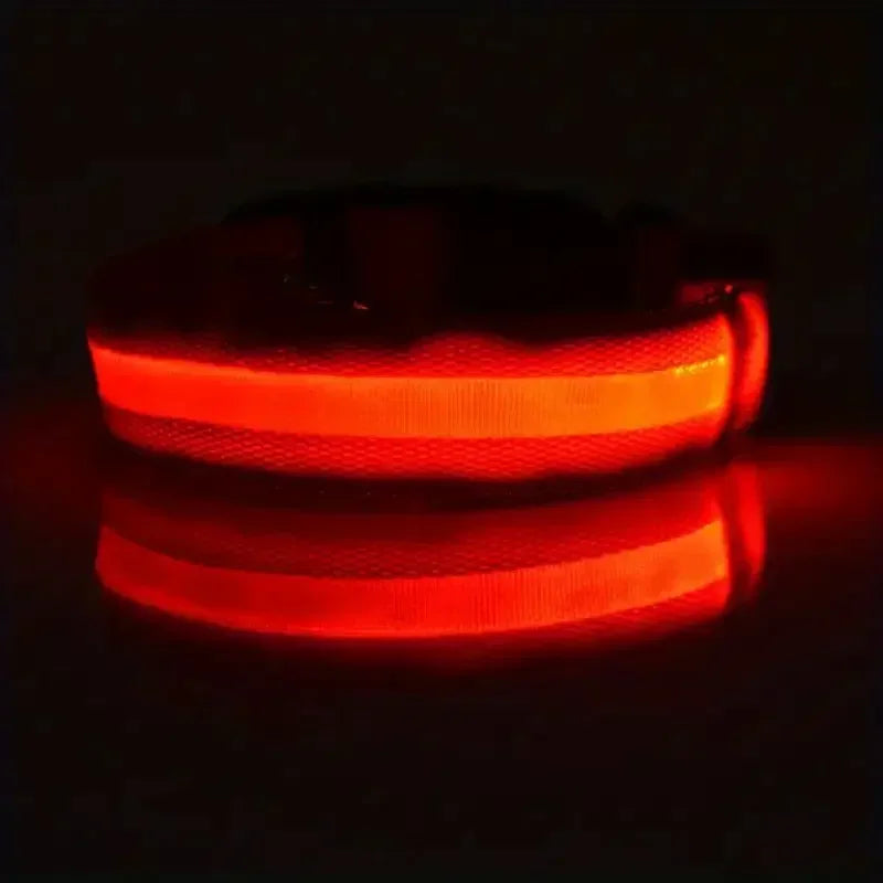 Light Up LED Pet Dog Collar