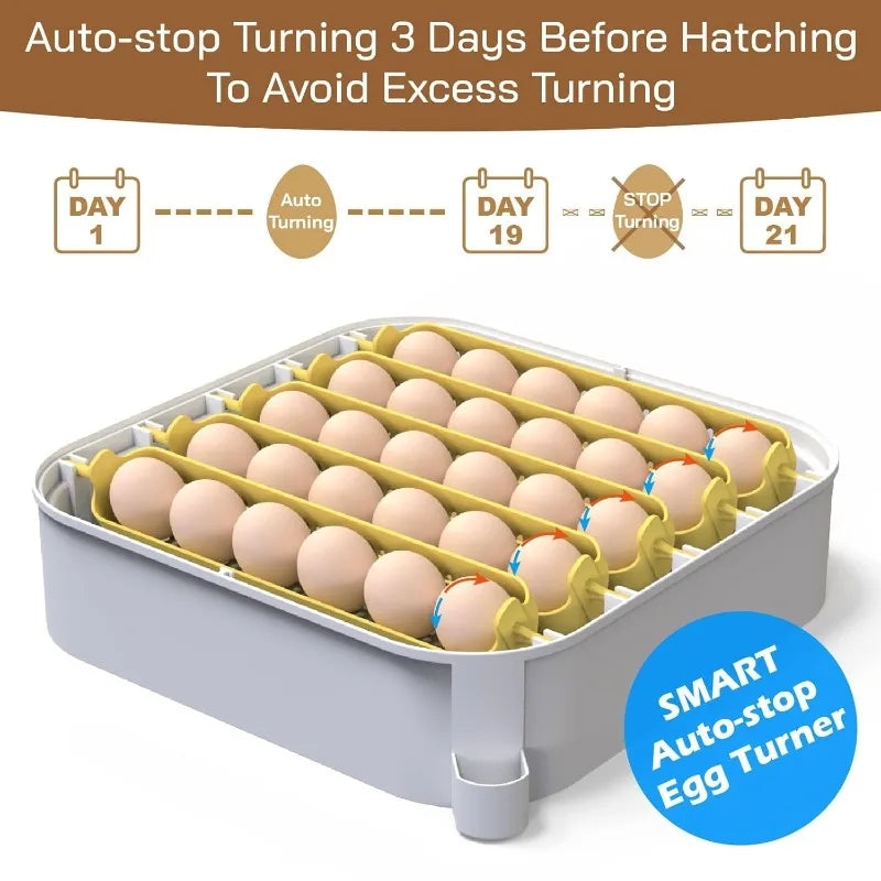 30 Egg Incubator with Humidity Display