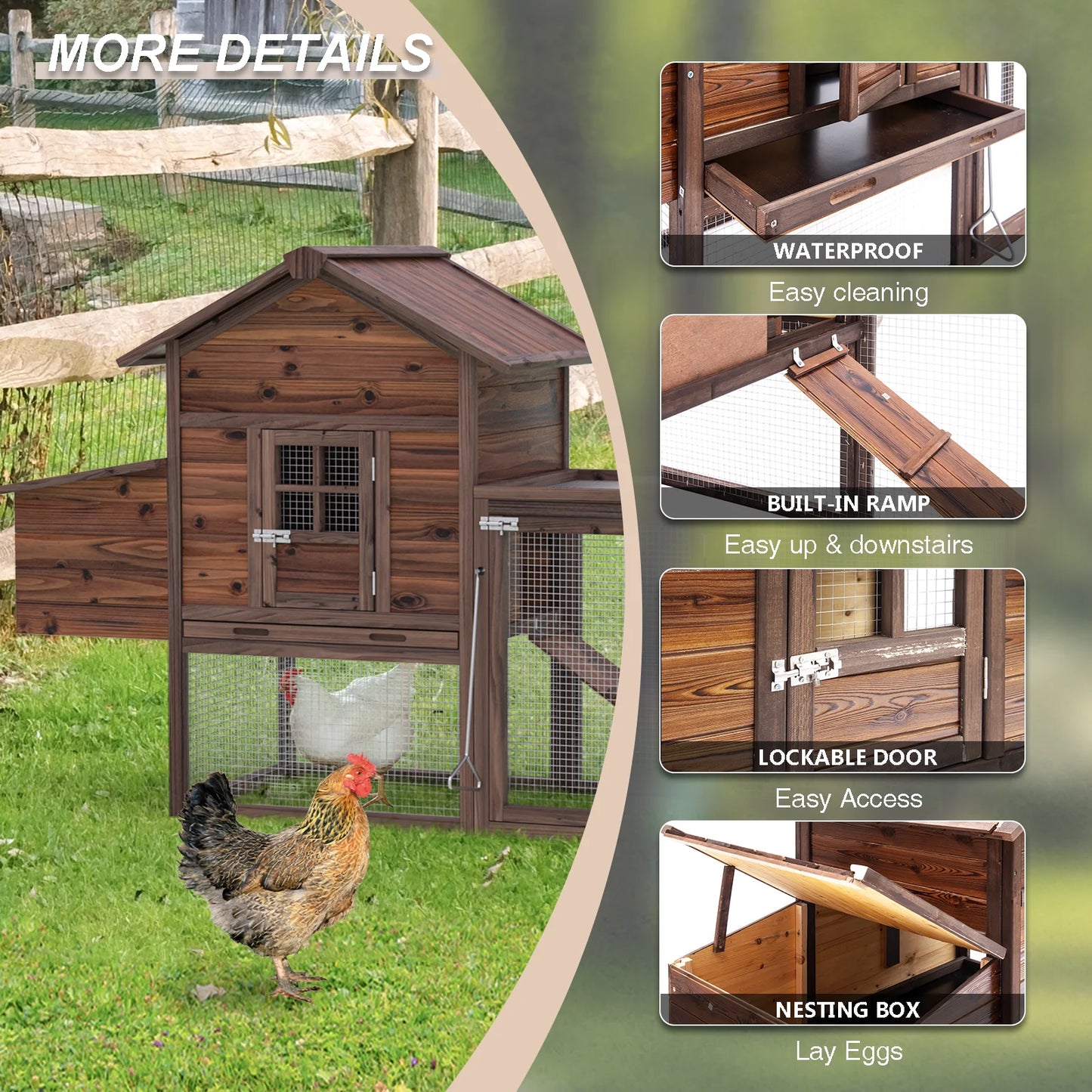 Chicken Coop for 5 Chickens