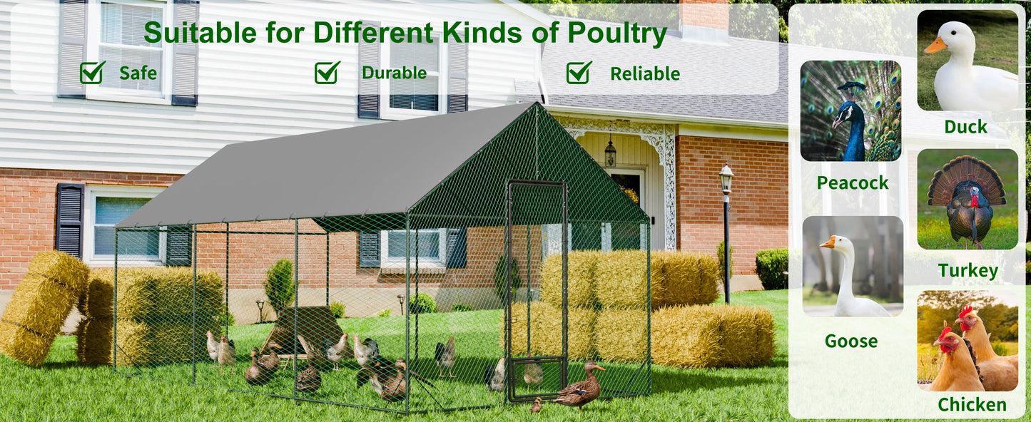 Heavy Duty Upgrade Outdoor Chicken Coop