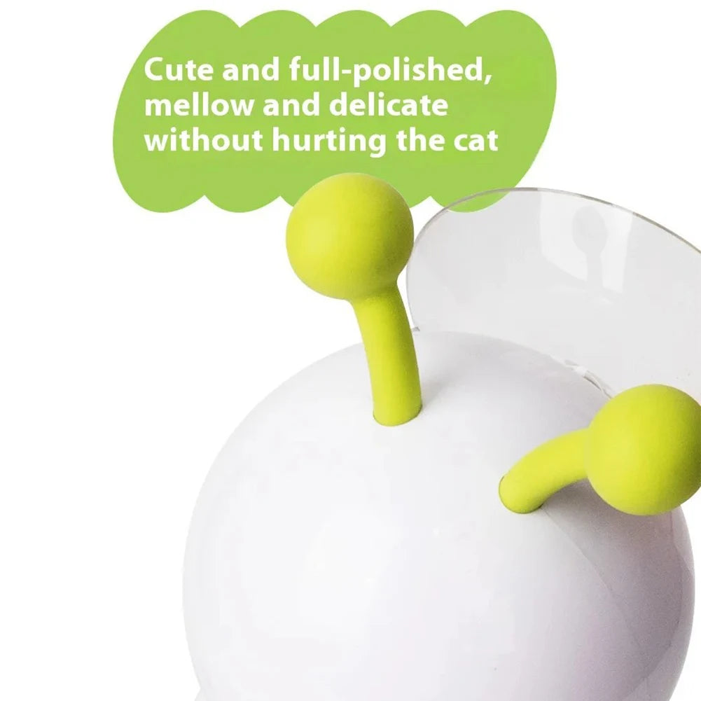Caterpillar Teasing Cat Toy