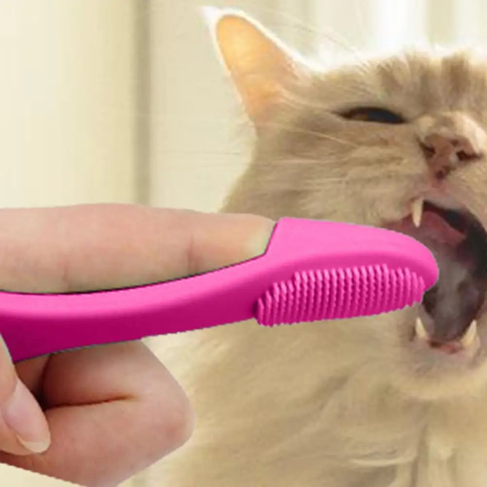 Cat Chin Brush