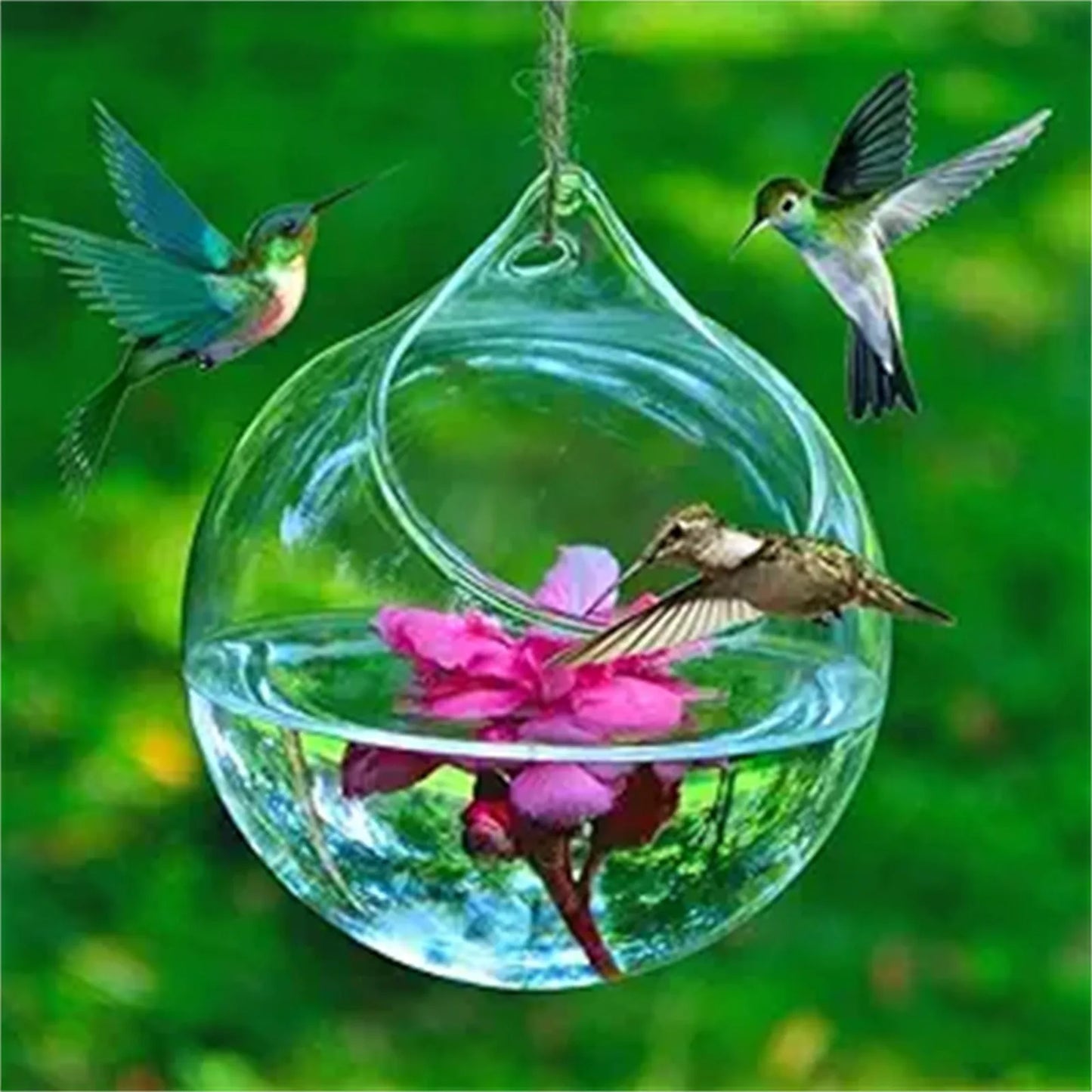 Humming Glass Feeder Outdoors Bird Feeder