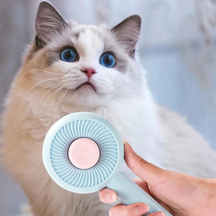 Cat Brush
