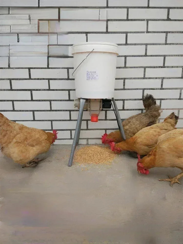 Automatic Chicken Feeder