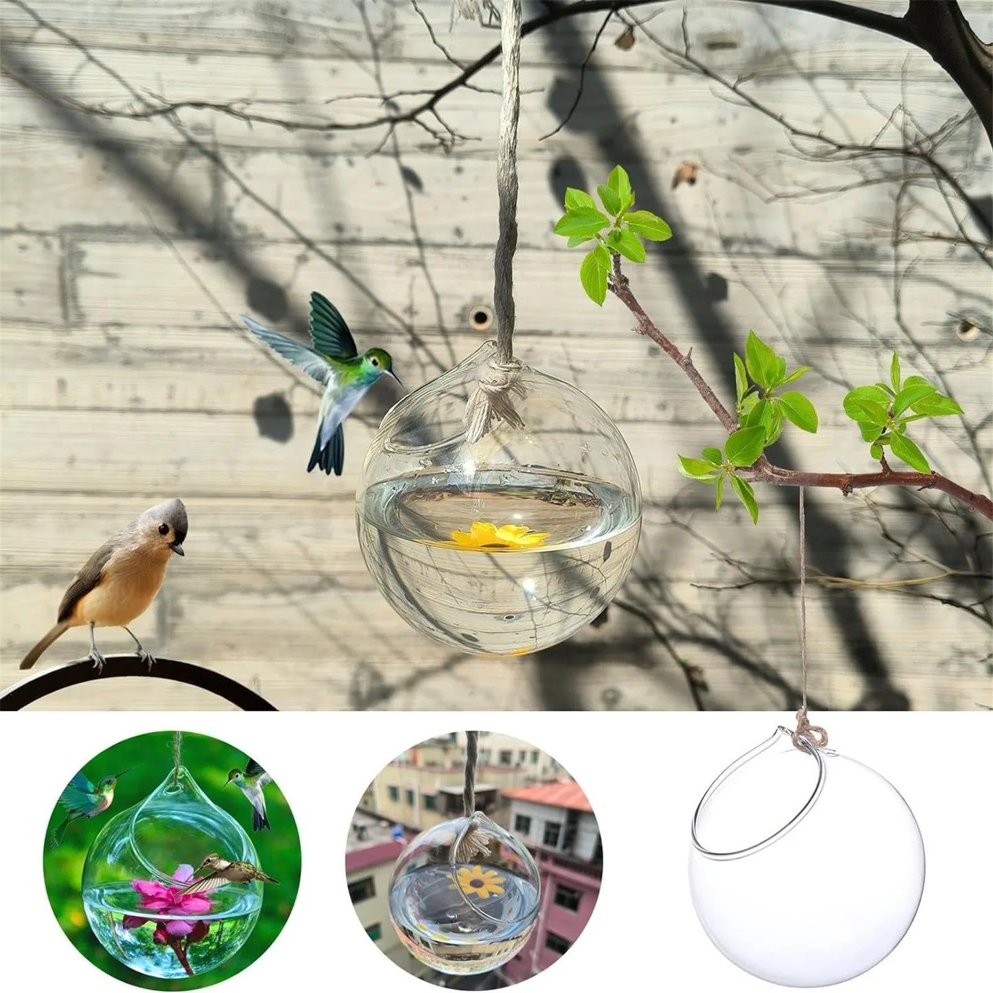 Humming Glass Feeder Outdoors Bird Feeder