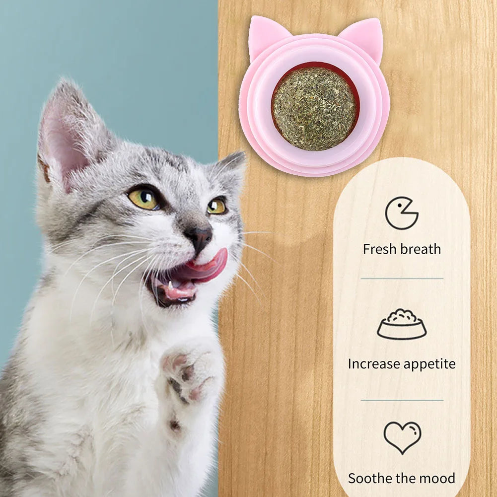 Rotatable Catnip Balls Toy for Cats
