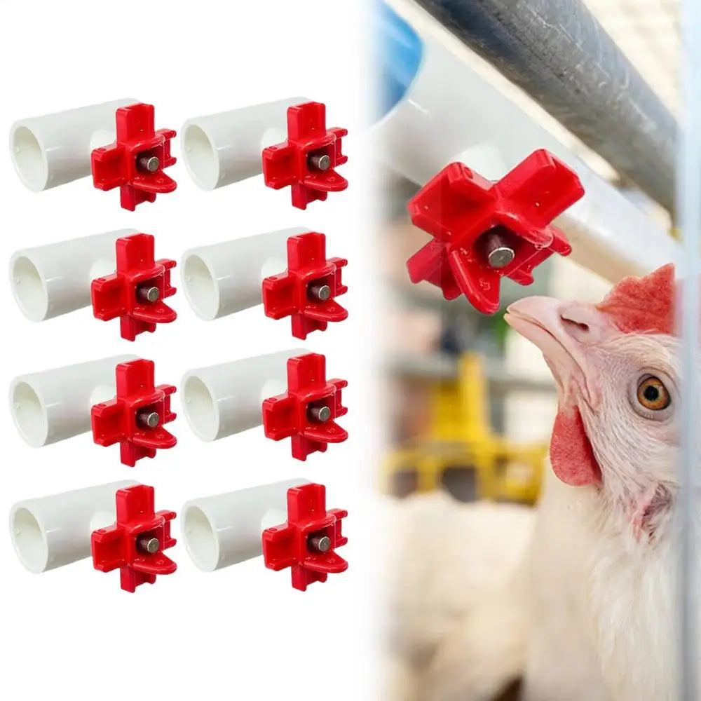 Chicken Water Cups For Poultry