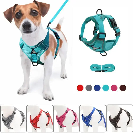 No Pull Dog Harness and Leash Set