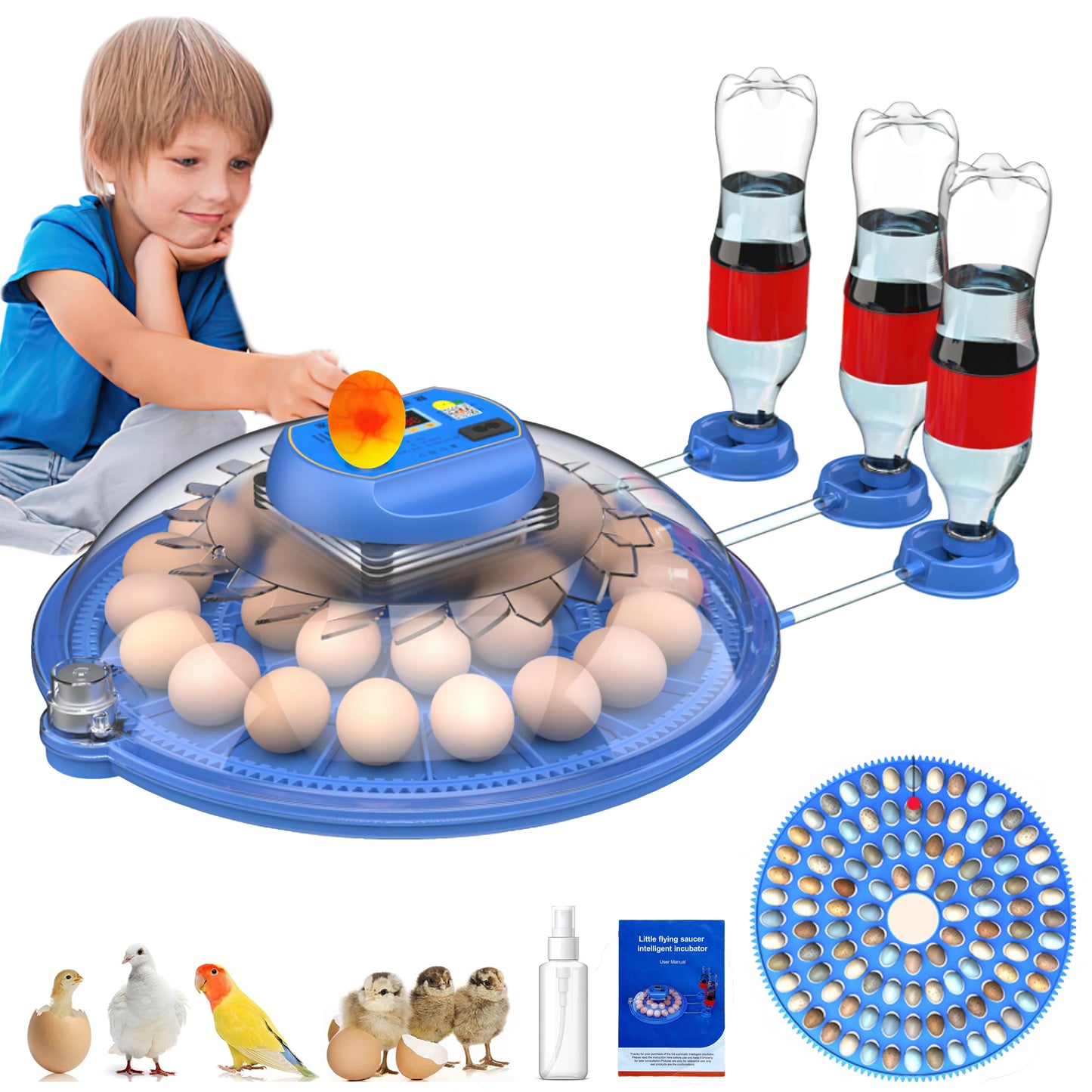 26-52 Eggs Automatic Incubator