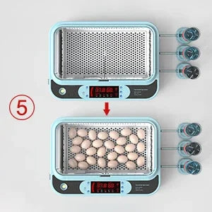 64/6 Chicken Duck Quail Egg Incubator