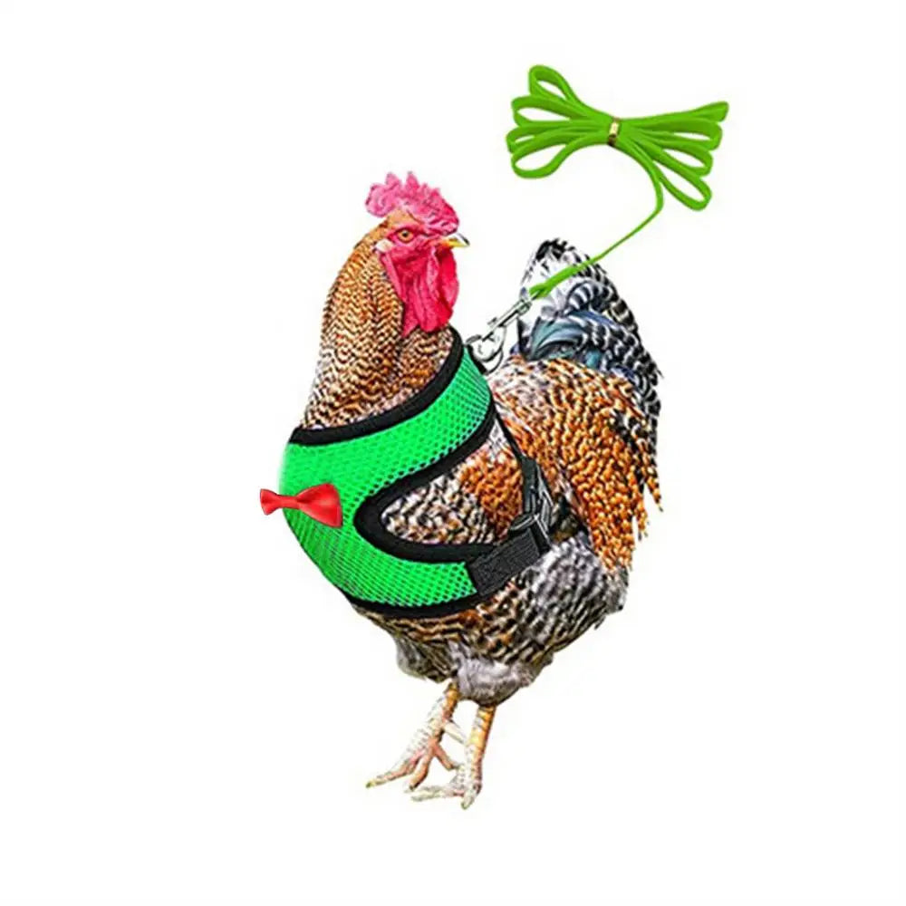 Poultry Harness Rope