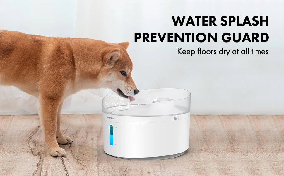 Automatic dog water fountain