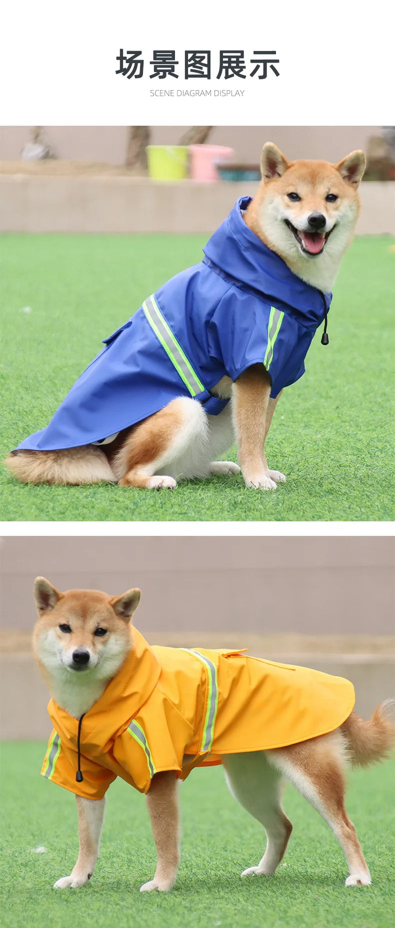 Big Dog raincoat