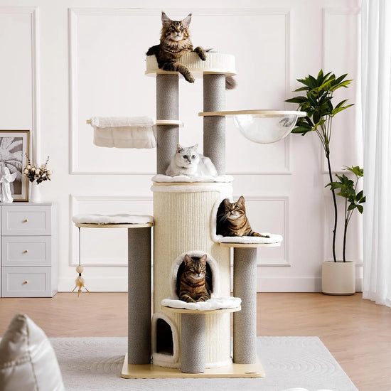 Castle for Indoor Cats