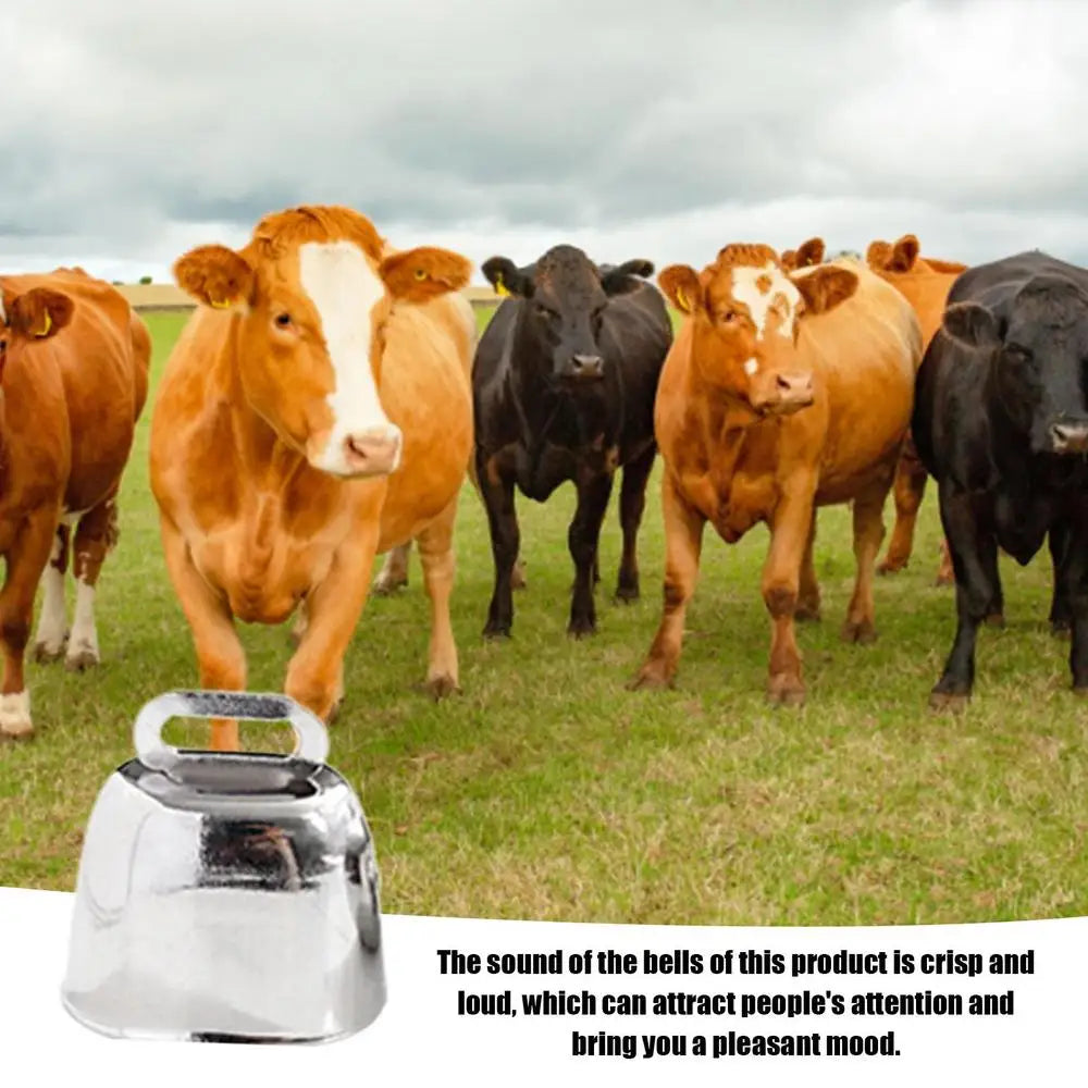 Farm Cow Grazing Bell