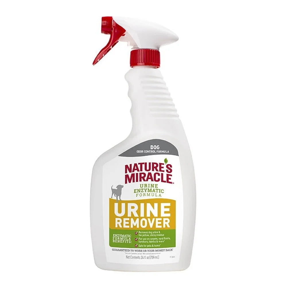 Enzymatic Dog Urine Remover