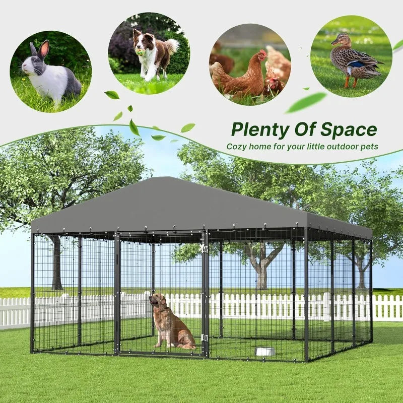 Large Outdoor Dog Kennel