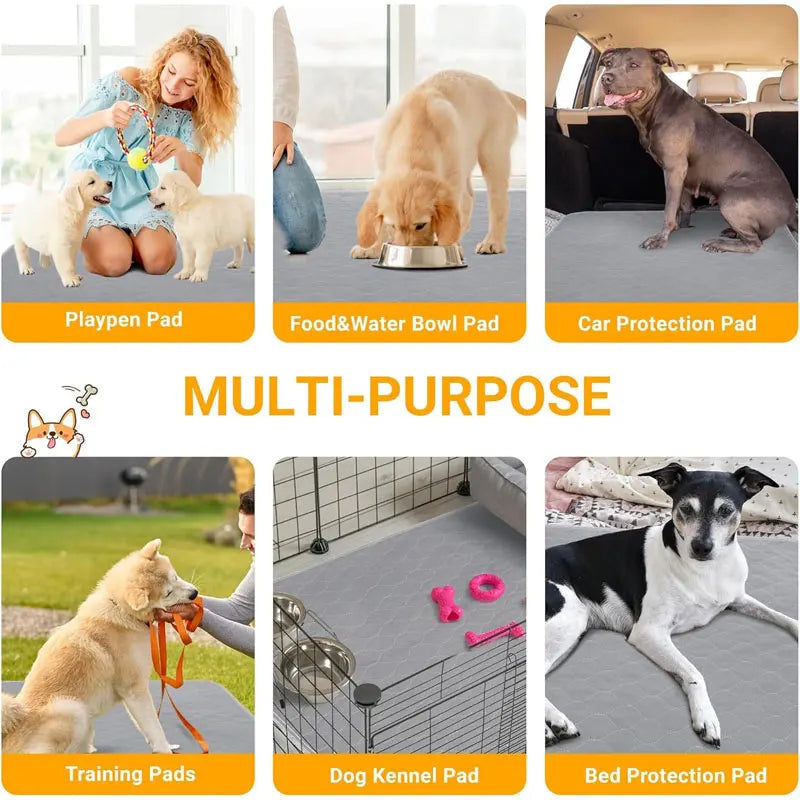 Dog Pee Pad
