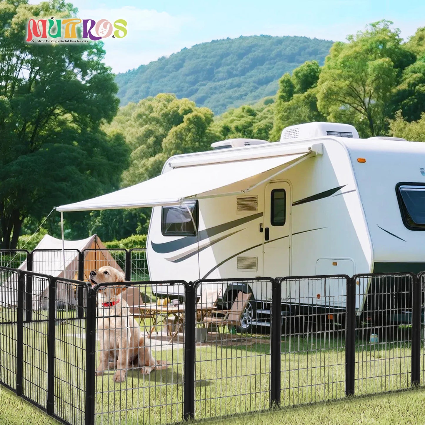 Dog Playpen with Door
